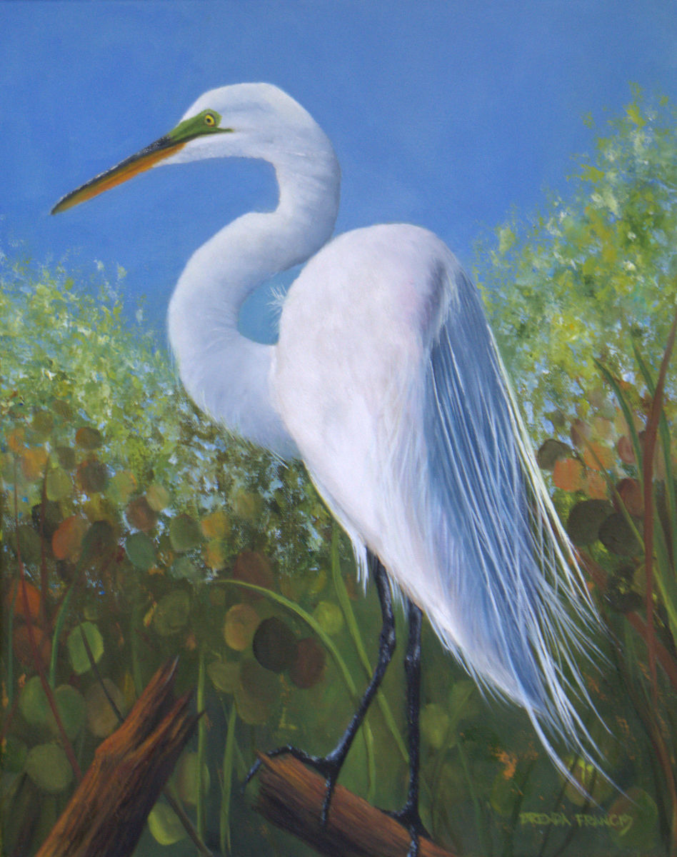 ON A SUNNY AFTERNOON by Brenda Francis  Image: A Great White Egret with Mating Colors