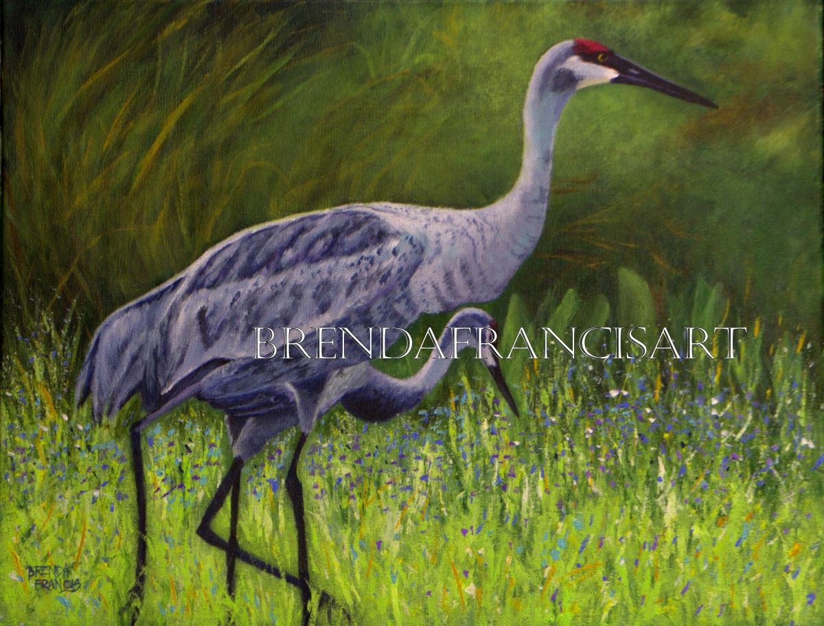 A PAIR OF CRANES by Brenda Francis  Image: Sandhill Cranes outside of the Merritt Island Wildlife Reserve.  They are as tall as I am!