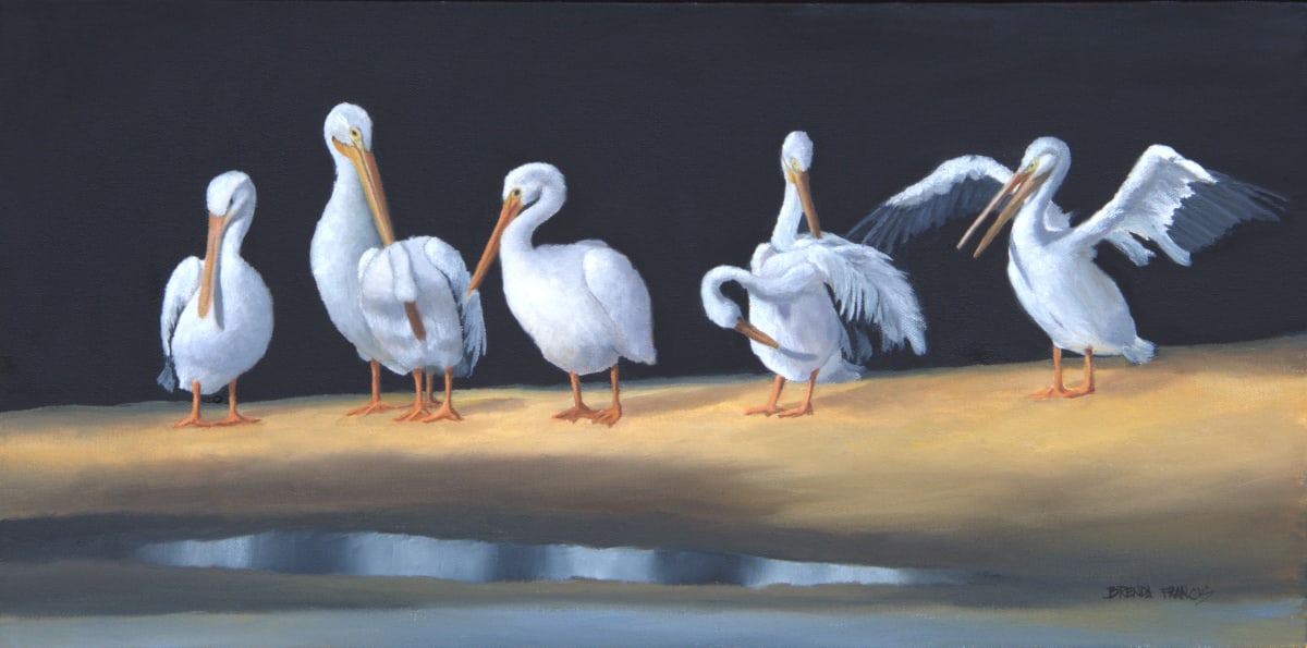 PARTY AT THE SAND BAR by Brenda Francis  Image: PARTY AT THE SAND BAR, White Pelicans 12x24 on a deep canvas