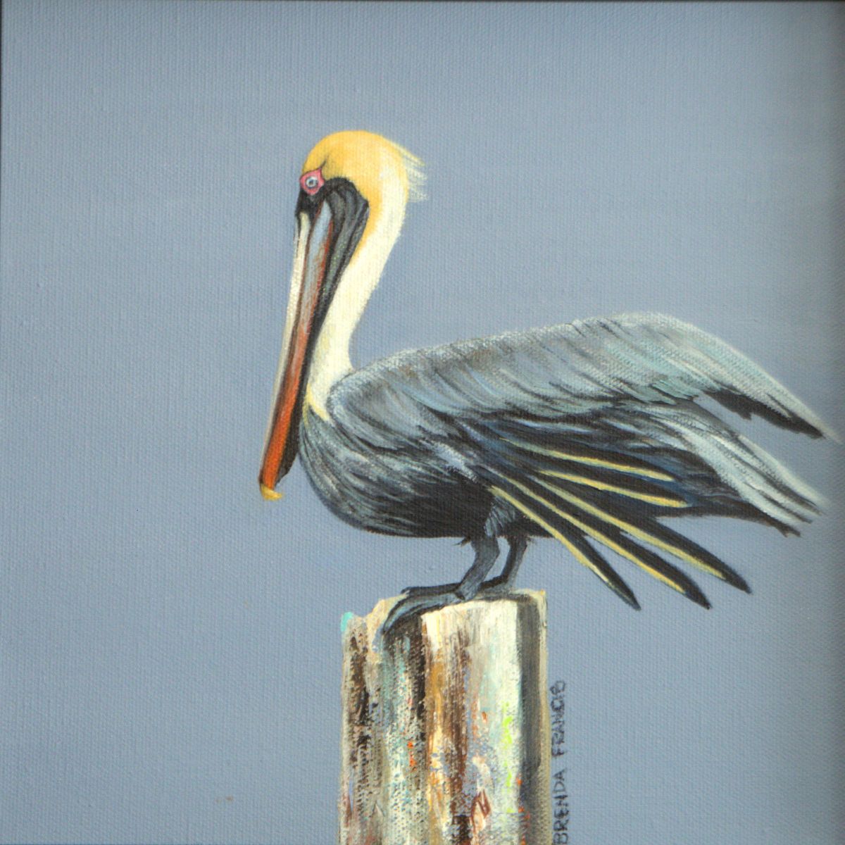 PELICAN 3 by Brenda Francis, Image 1.