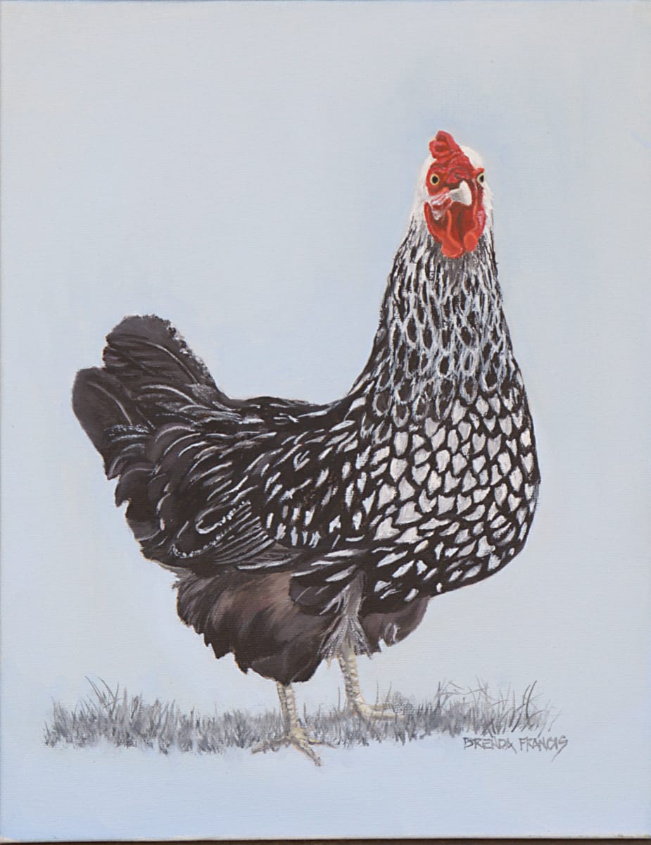 PEPPER by Brenda Francis  Image: Painting these beautiful hens is great fun!
