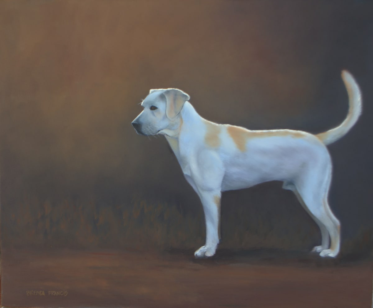 REGAL II by Brenda Francis, Image 1.