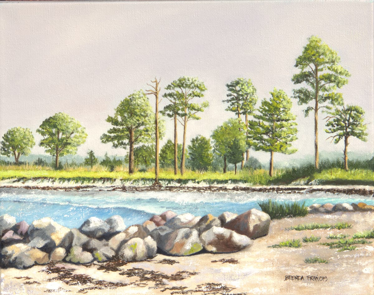 ROCKS, WATER & TREES by Brenda Francis  Image: Weather worn rocks, salt water and pine trees!  
