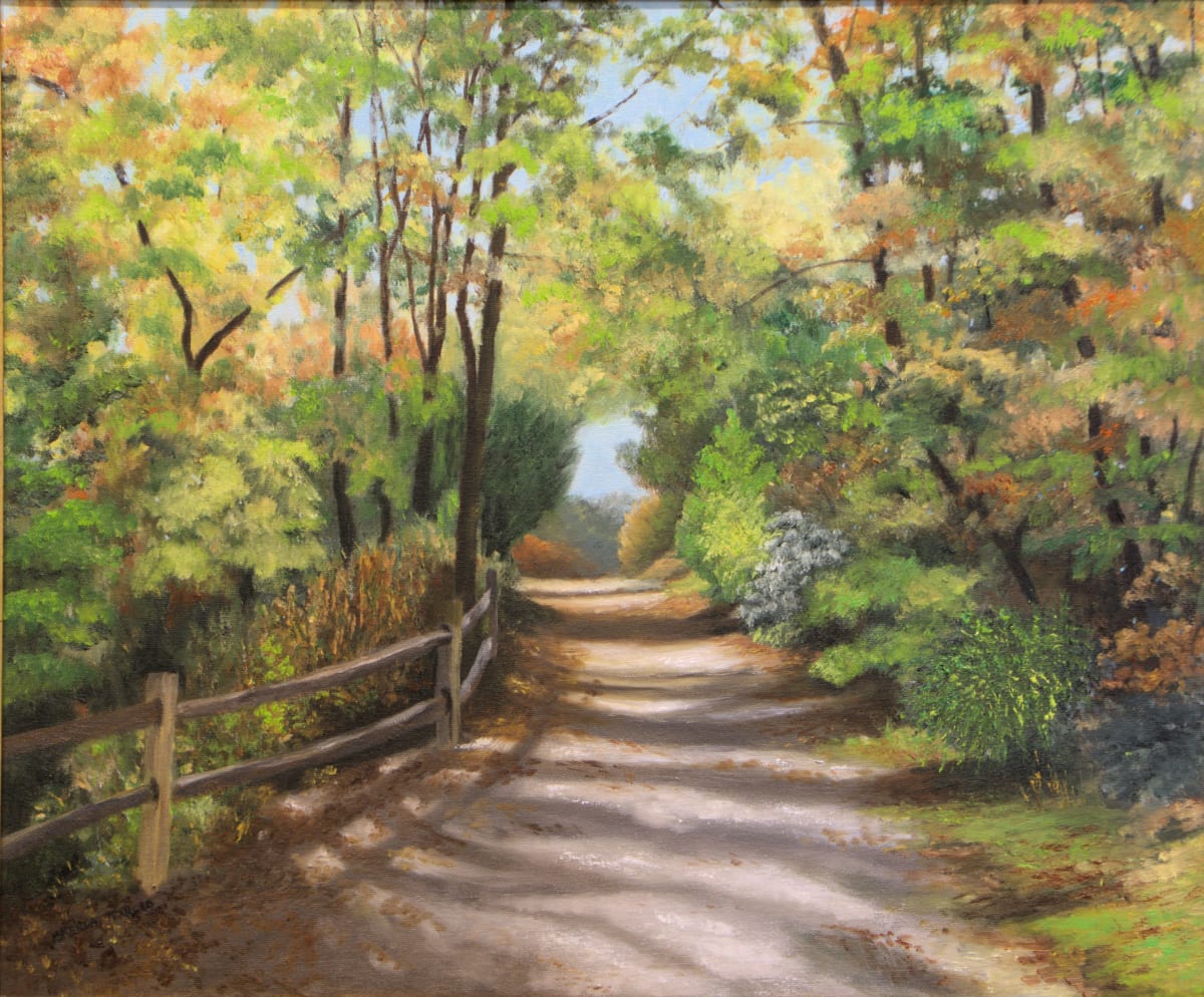SHADED PATH by Brenda Francis  Image: Path in Brevard, North Carolina
