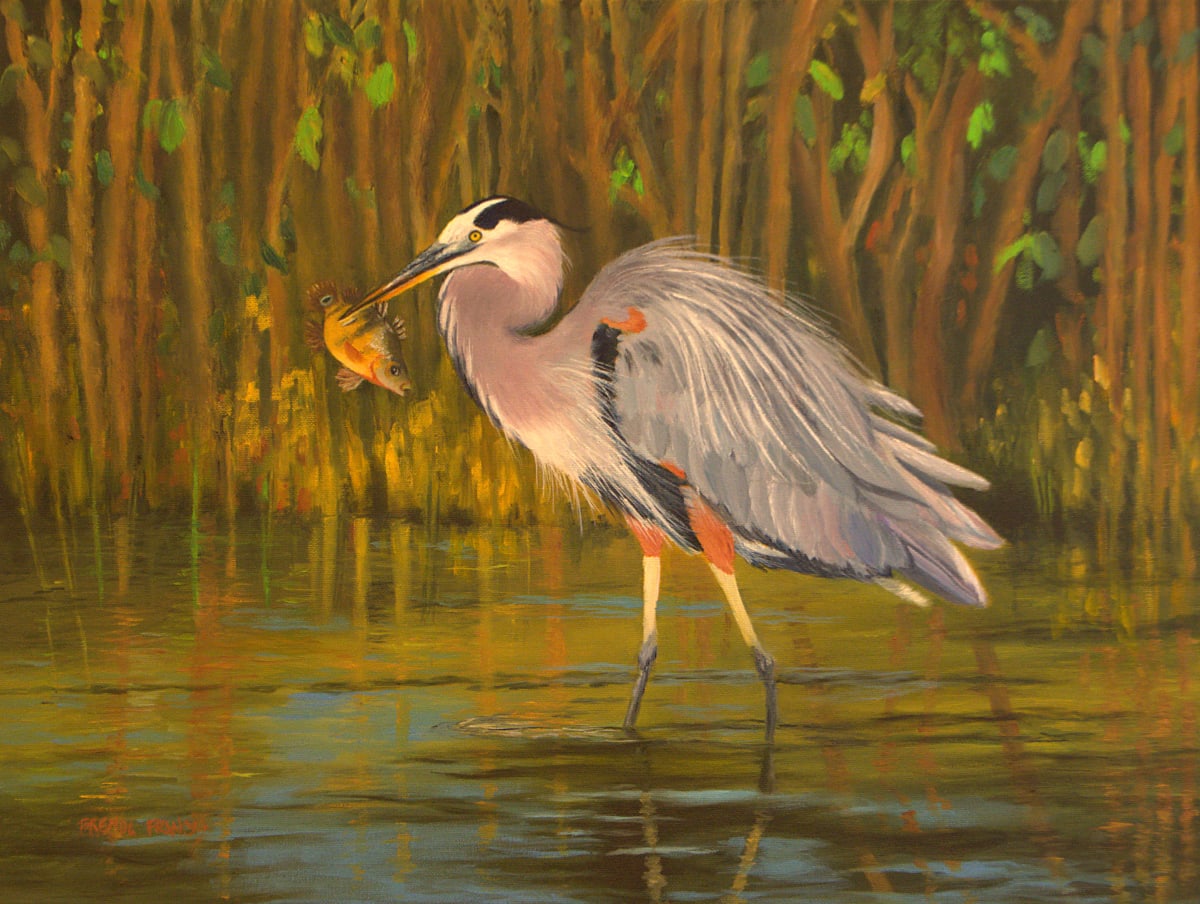 SUSHI SNACK by Brenda Francis  Image: Great Blue Heron with a pierced fish