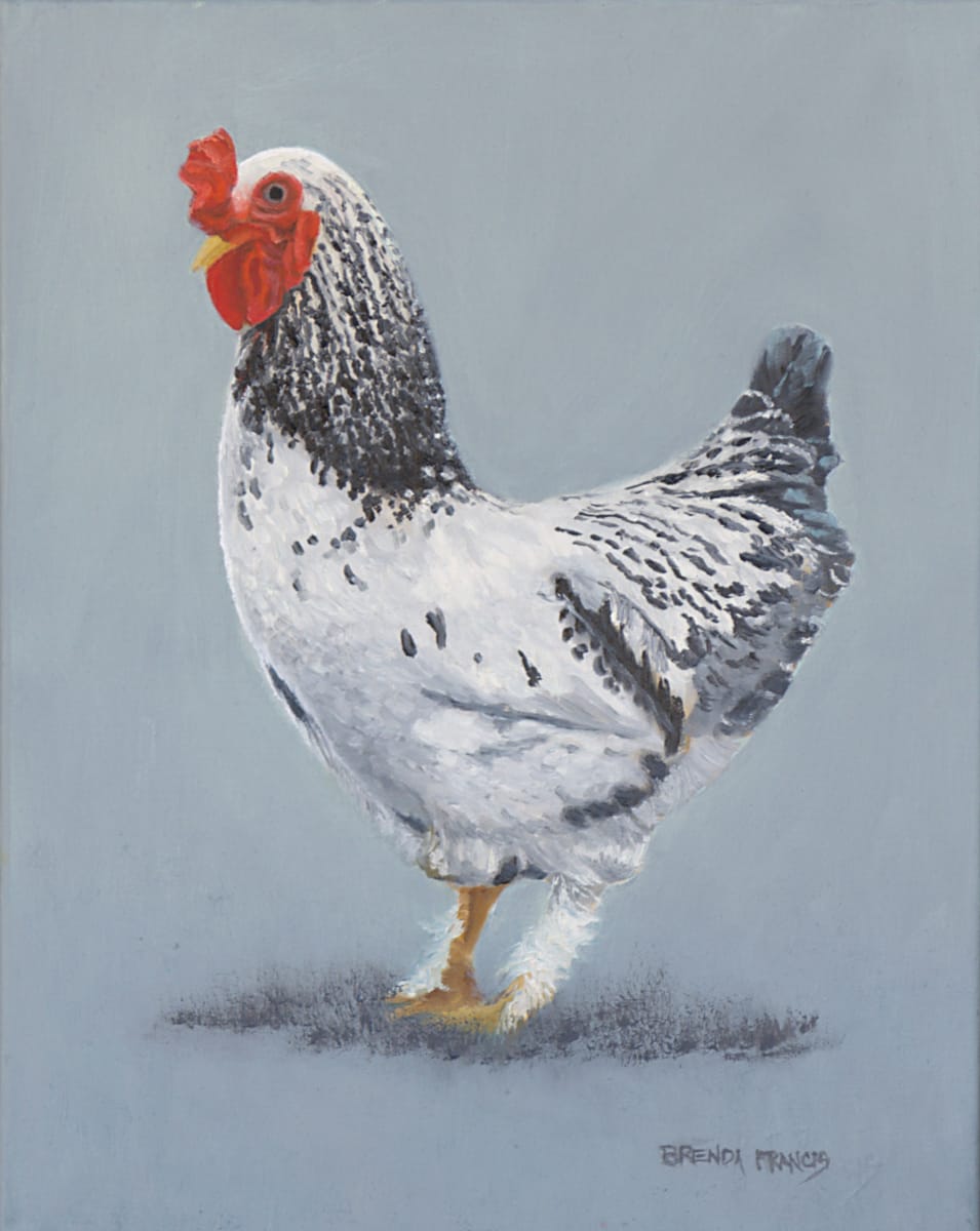 THEODORE by Brenda Francis  Image: Chickens are beautiful animals!