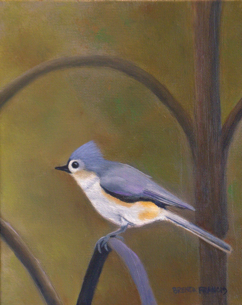 TUFT - Tufted Titmouse by Brenda Francis, Image 1.