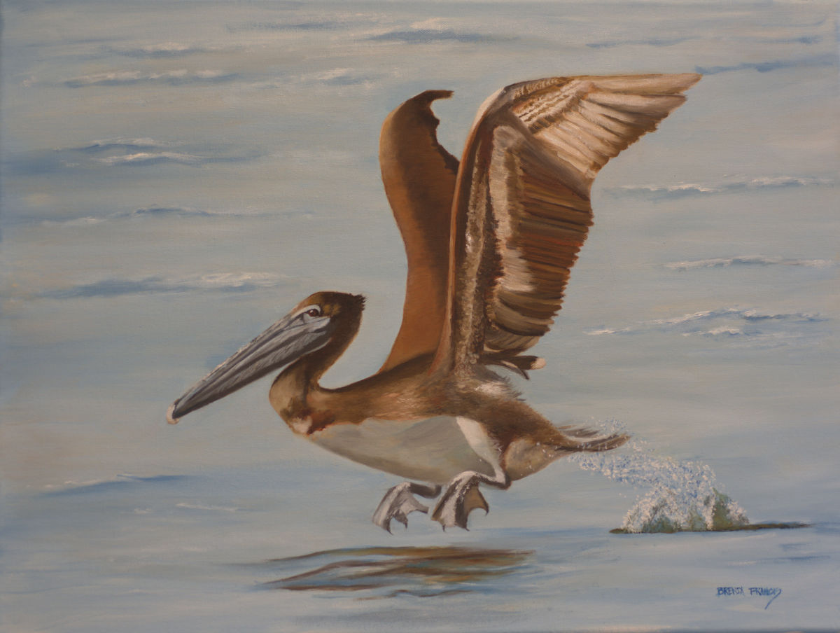 UP AND AWAY by Brenda Francis  Image: Surfing pelican coming out of the water after an unsuccessful dive. A beautiful thing to watch.