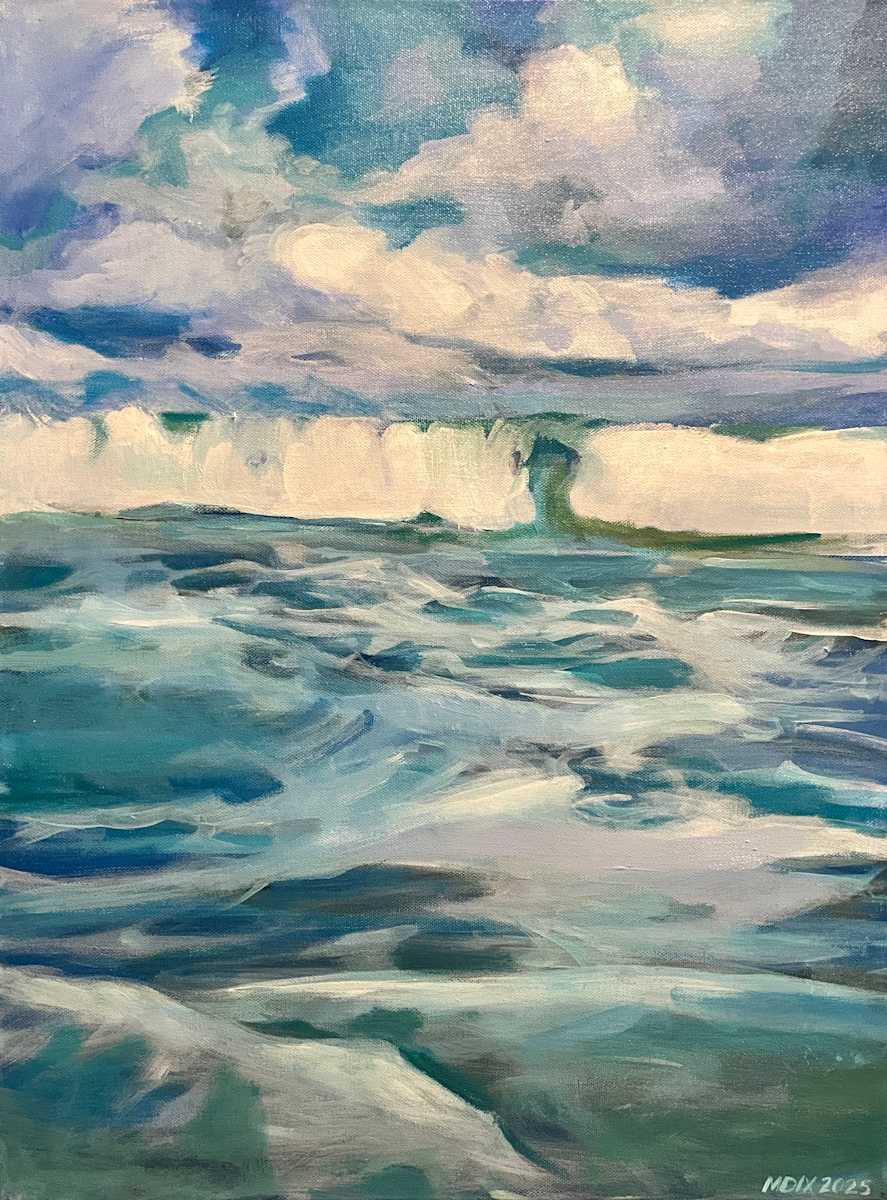 The Flow by Monica Dix 