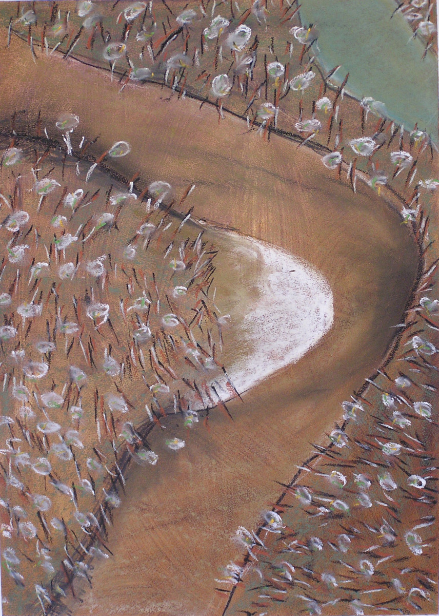 Barmah Forest 03 by Steve Baird 