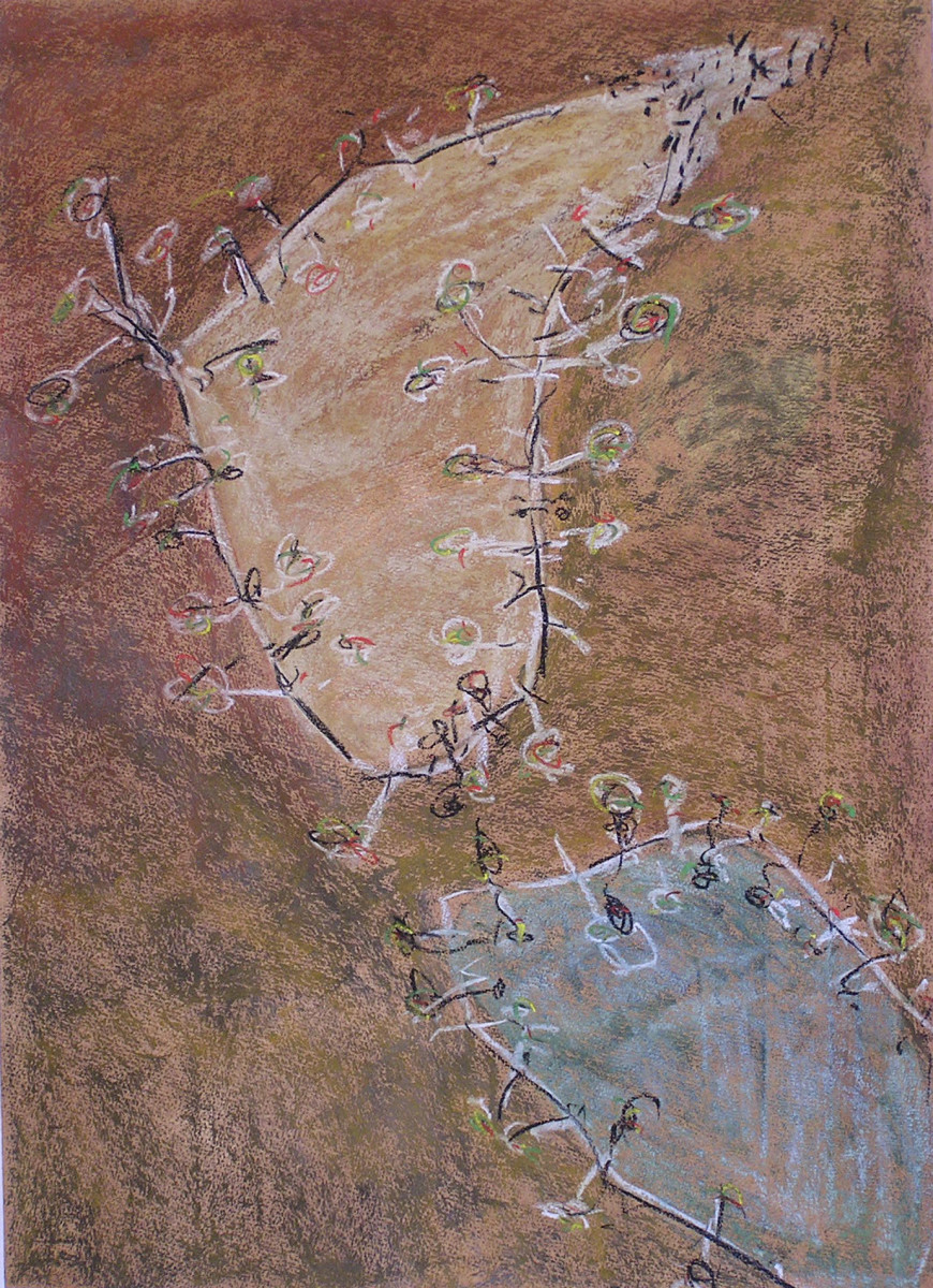 Barmah Forest 04 by Steve Baird 