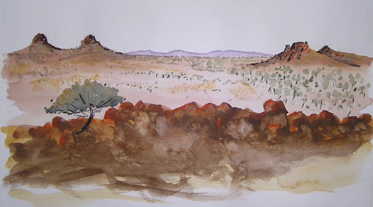 North Moolooloo by Steve Baird 