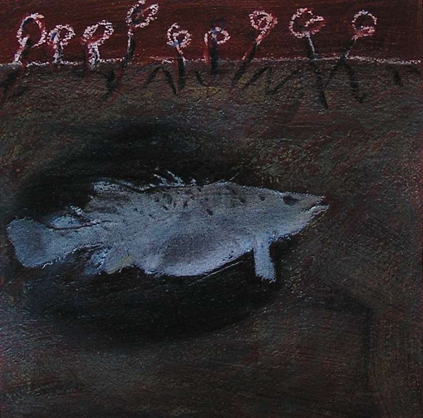 Cod Hole study by Steve Baird, Image 1.