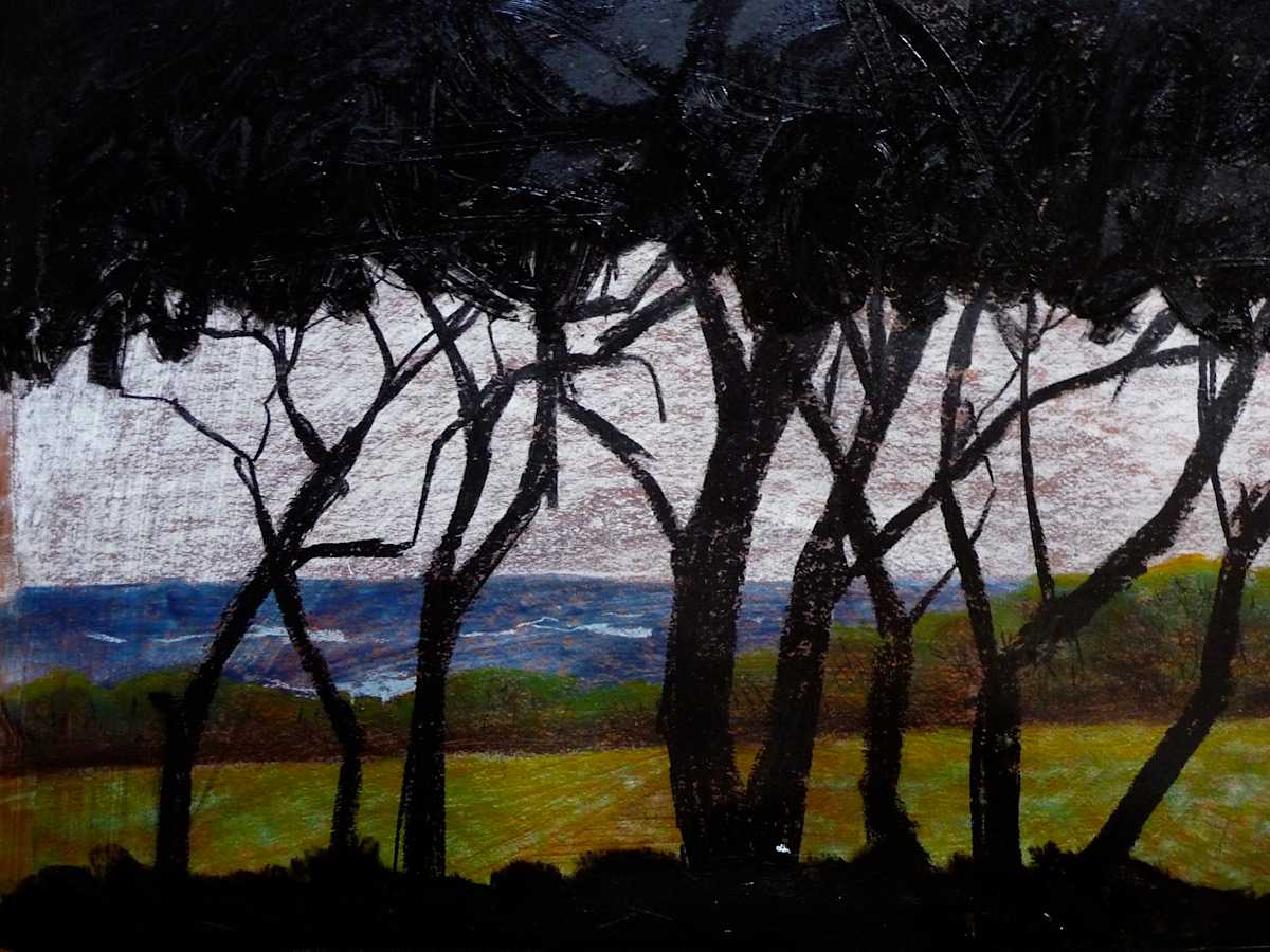 Yallingup by Steve Baird, Image 1.