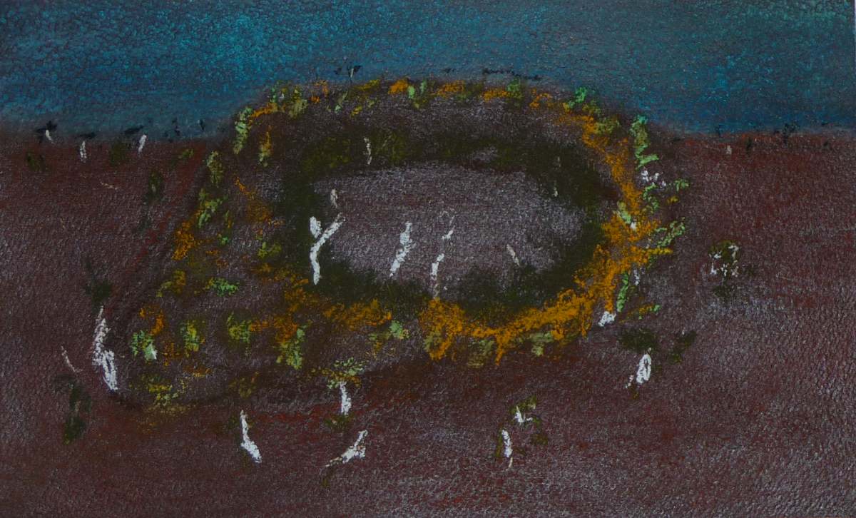 Wolf Creek by Steve Baird 