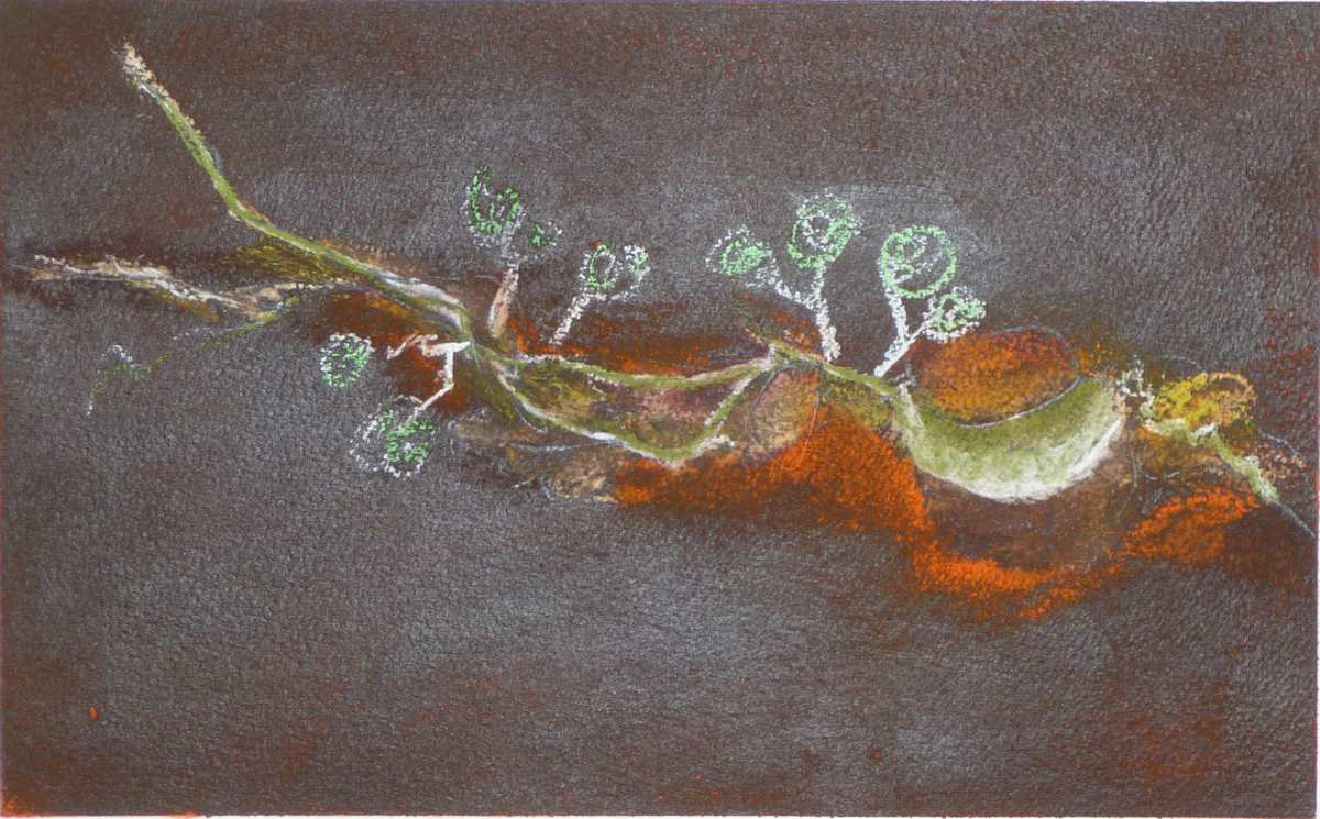 Wardabunni Waterhole by Steve Baird 
