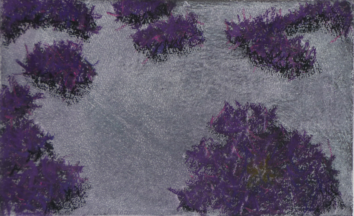 Samphire by Steve Baird 