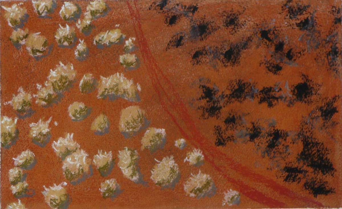 Burnt Track by Steve Baird, Image 1.