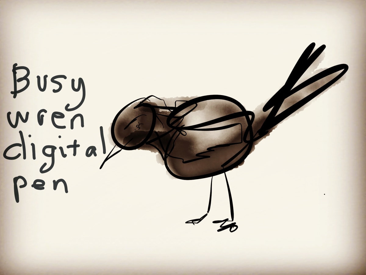 Busy Wren Digital Pen by Steve Baird 