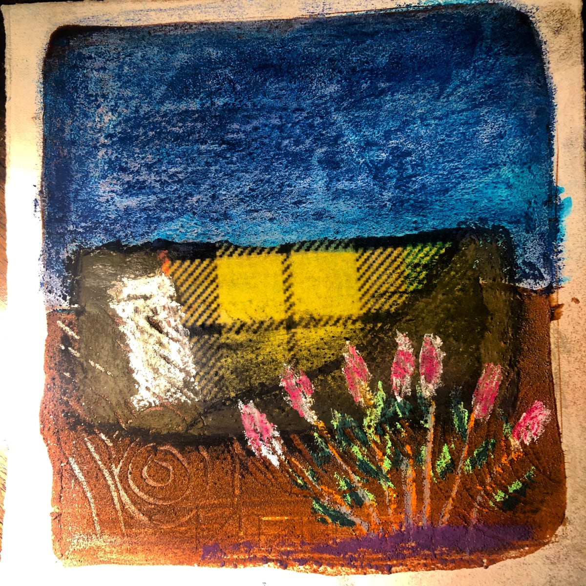 Swag on Country Mulla Mulla study01 by Steve Baird  Image: Swag on Country Mulla Mulla study01