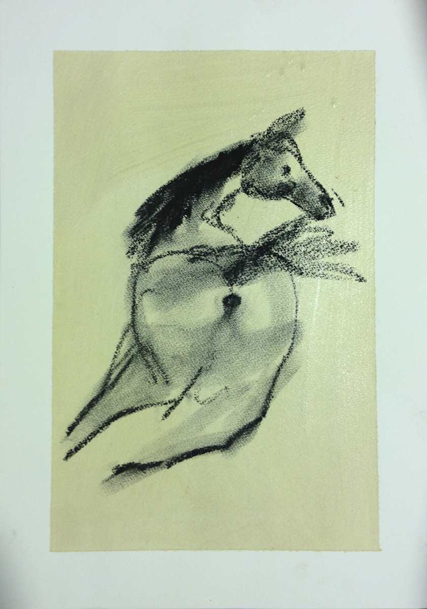 Yearlings 01 by Steve Baird, Image 1.