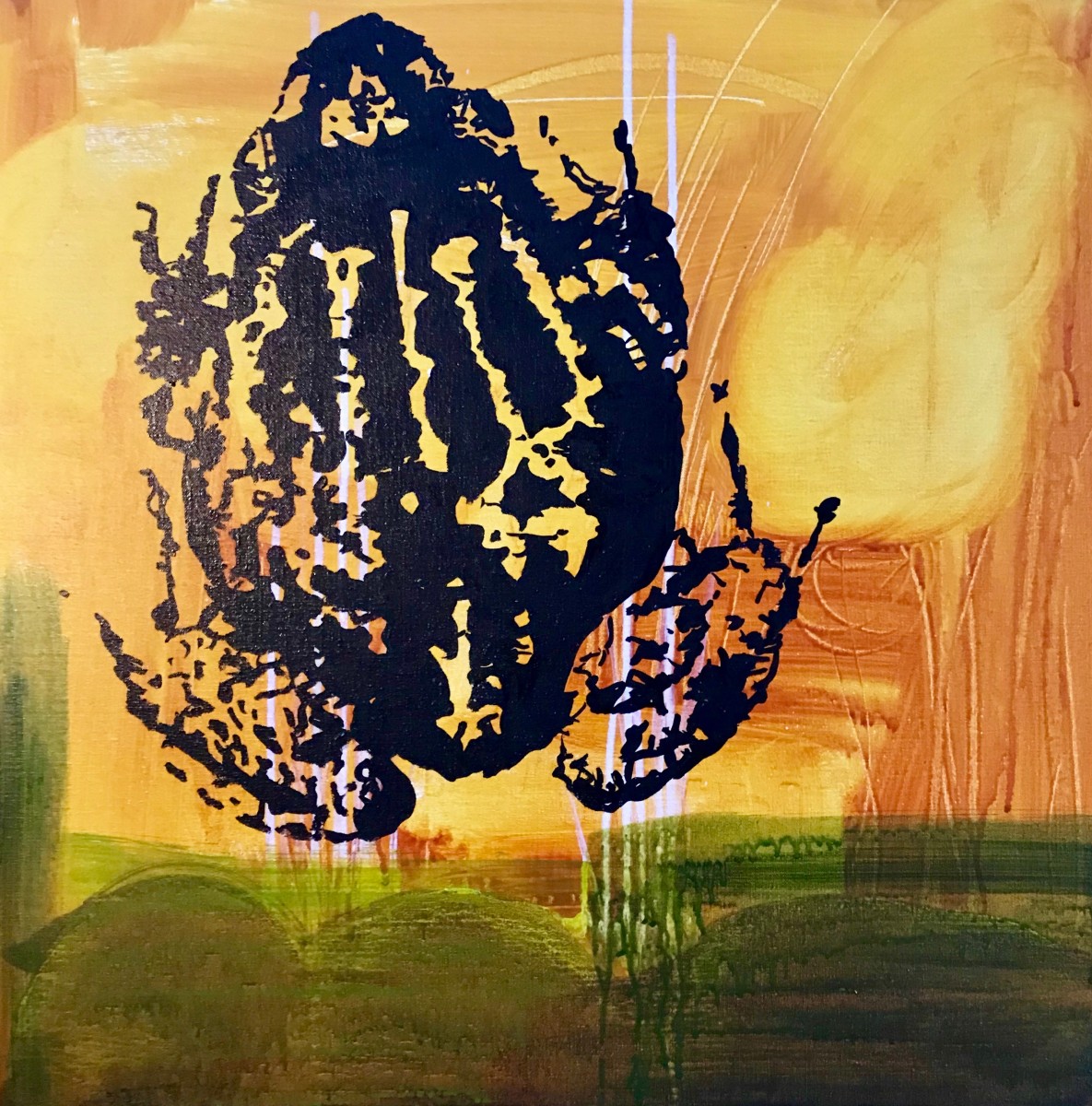 Pobblebonk03 by Steve Baird 