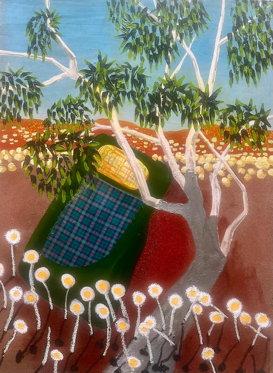 Swag on Wangkamna Lands by Steve Baird  Image: Swag on Wangkamna Lands - Lake Muncoonie