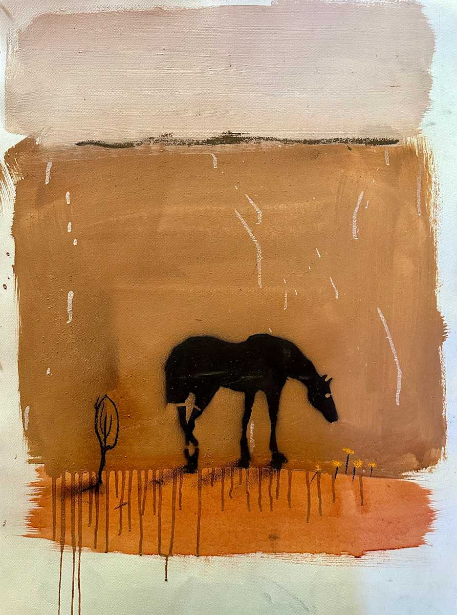 FMOP with basket bush by Steve Baird 