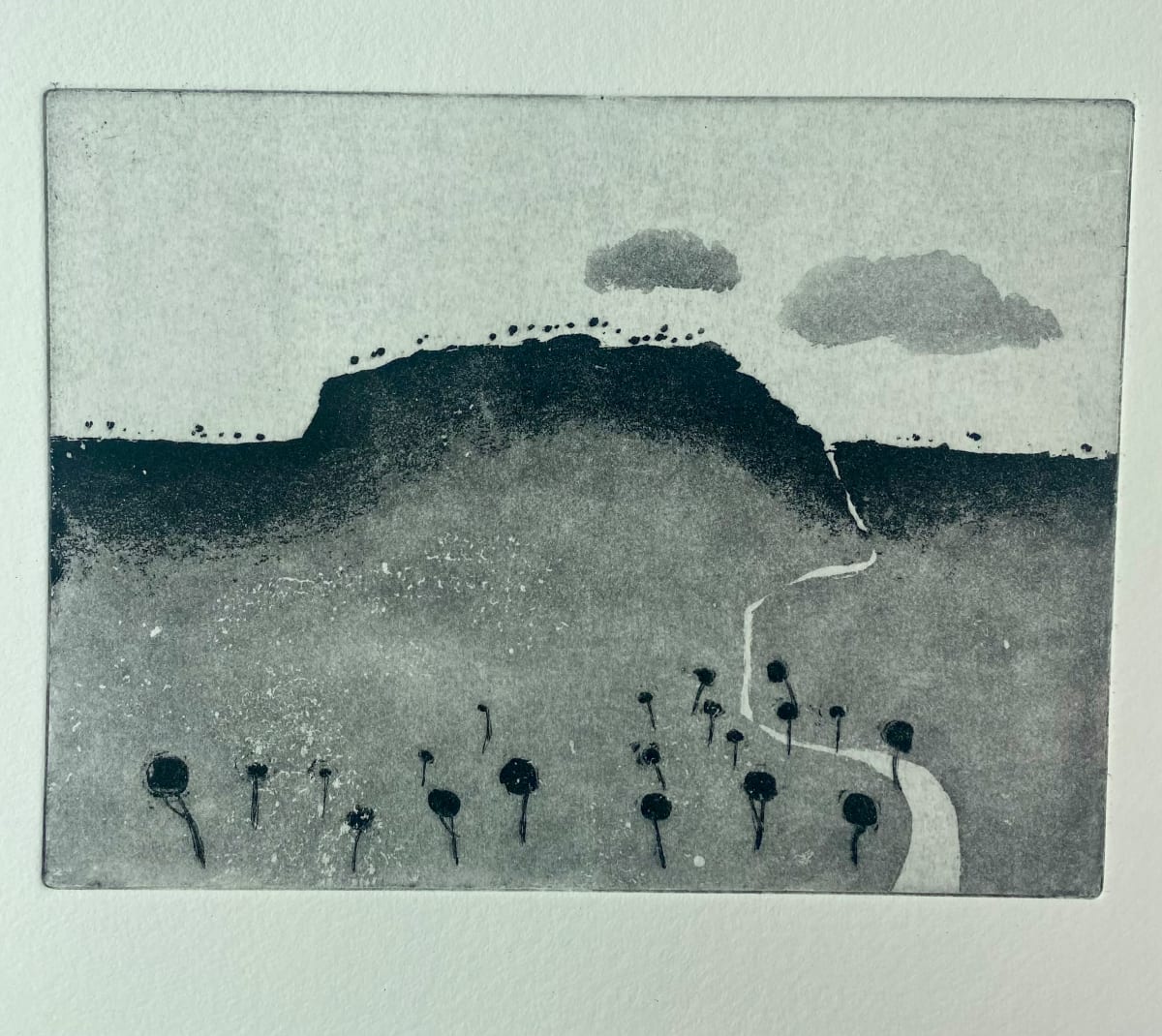Silvereye Press edition 2/2 by Steve Baird 