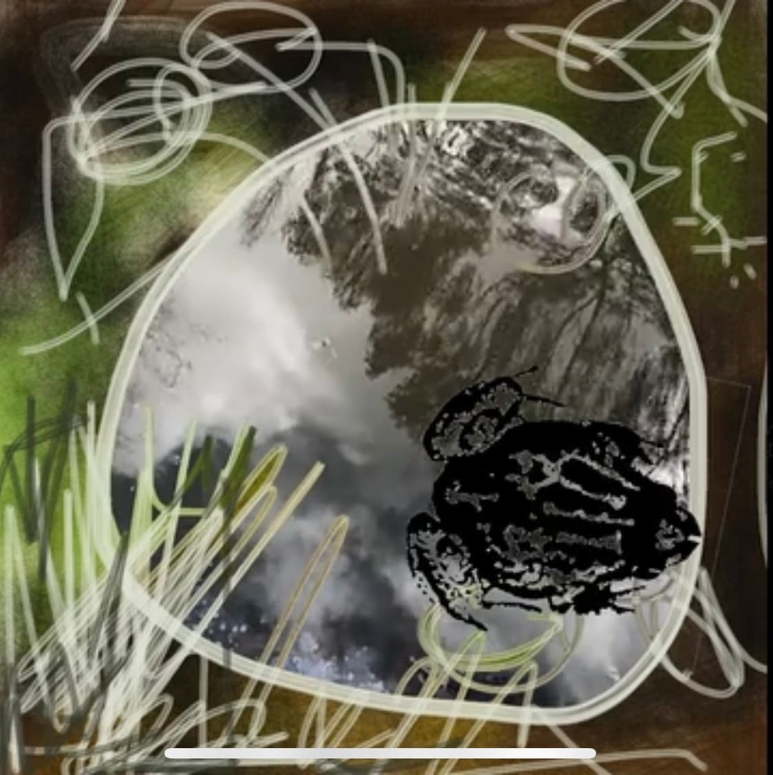 Pobblebonk pond by Steve Baird  Image: Still from Pobblebonkpond video