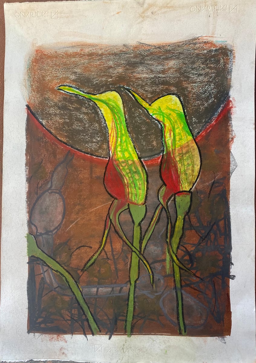 Greenhoods after fire study01 by Steve Baird  Image: Greenhood orchards emerging after post bushfire rains