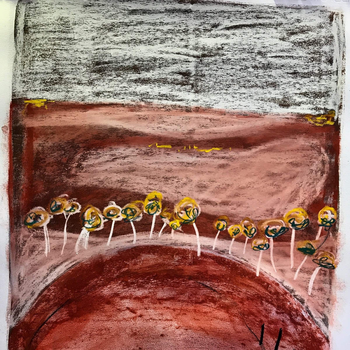 Footy ground Mungilli Claypan Gibson Desert by Steve Baird 