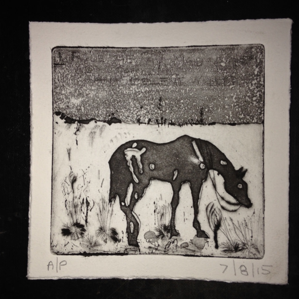 Fair Maid of Perth 03 by Steve Baird 