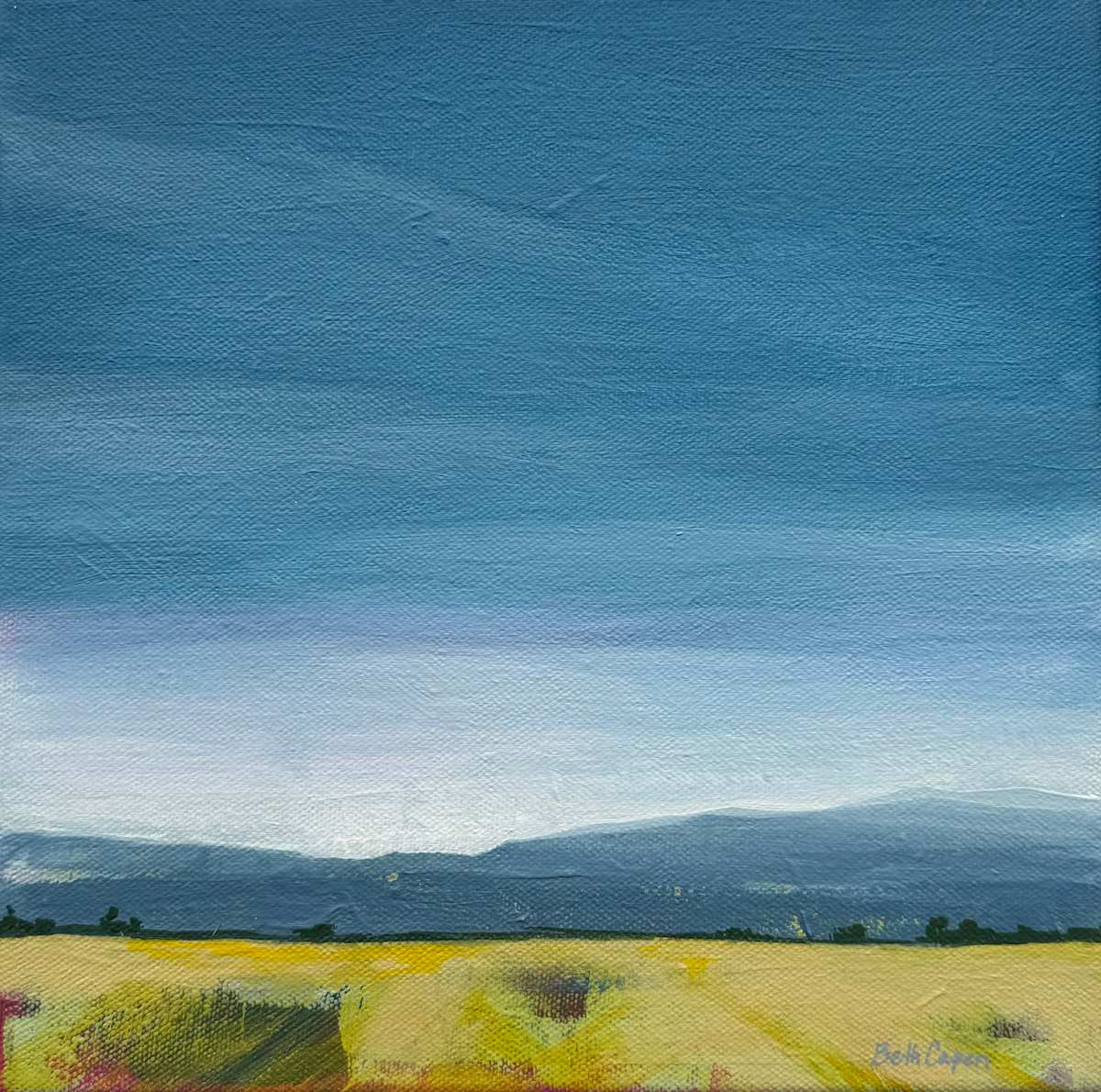 Sweeping Softness by Beth Capen, Image 1.