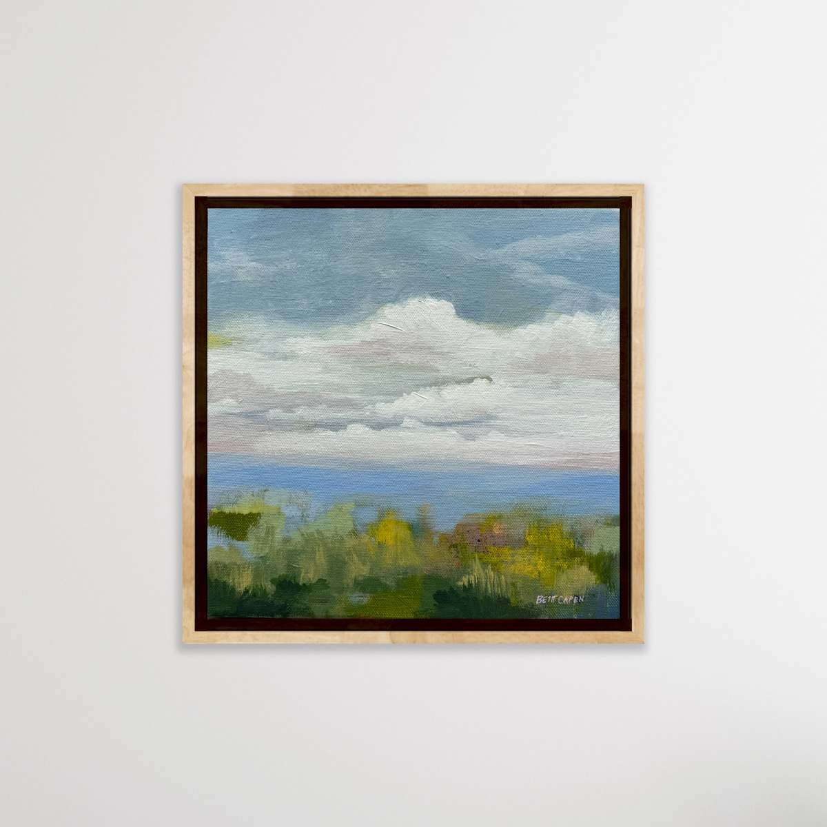 A Soft Place to Land by Beth Capen, Image 1.