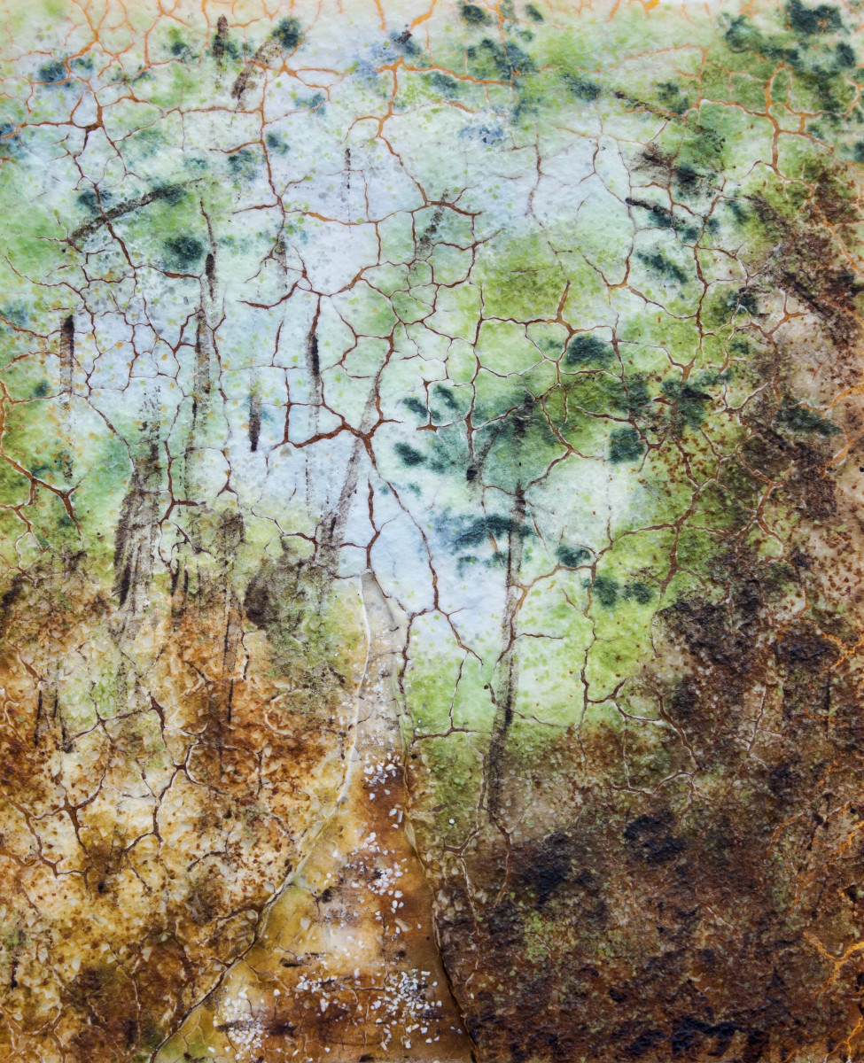 Forest Path by Nancy Cann 