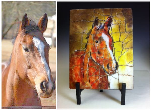 Beau  Image: Portrait of Beau