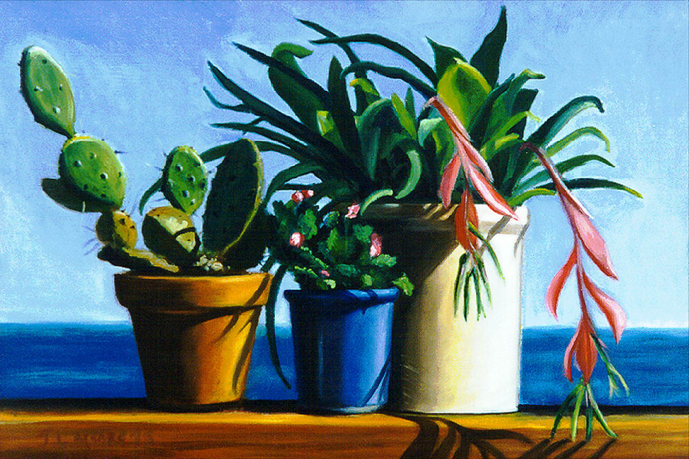 Christmas Cactuses by Janice L. Moore 