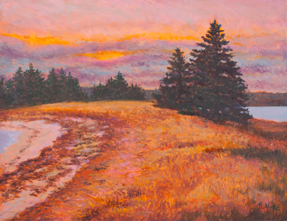 Indian Point, Georgetown, ME by Janice L. Moore 