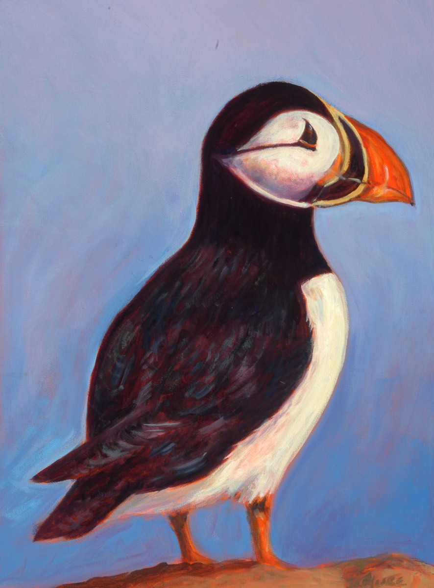 Puffin by Janice L. Moore 