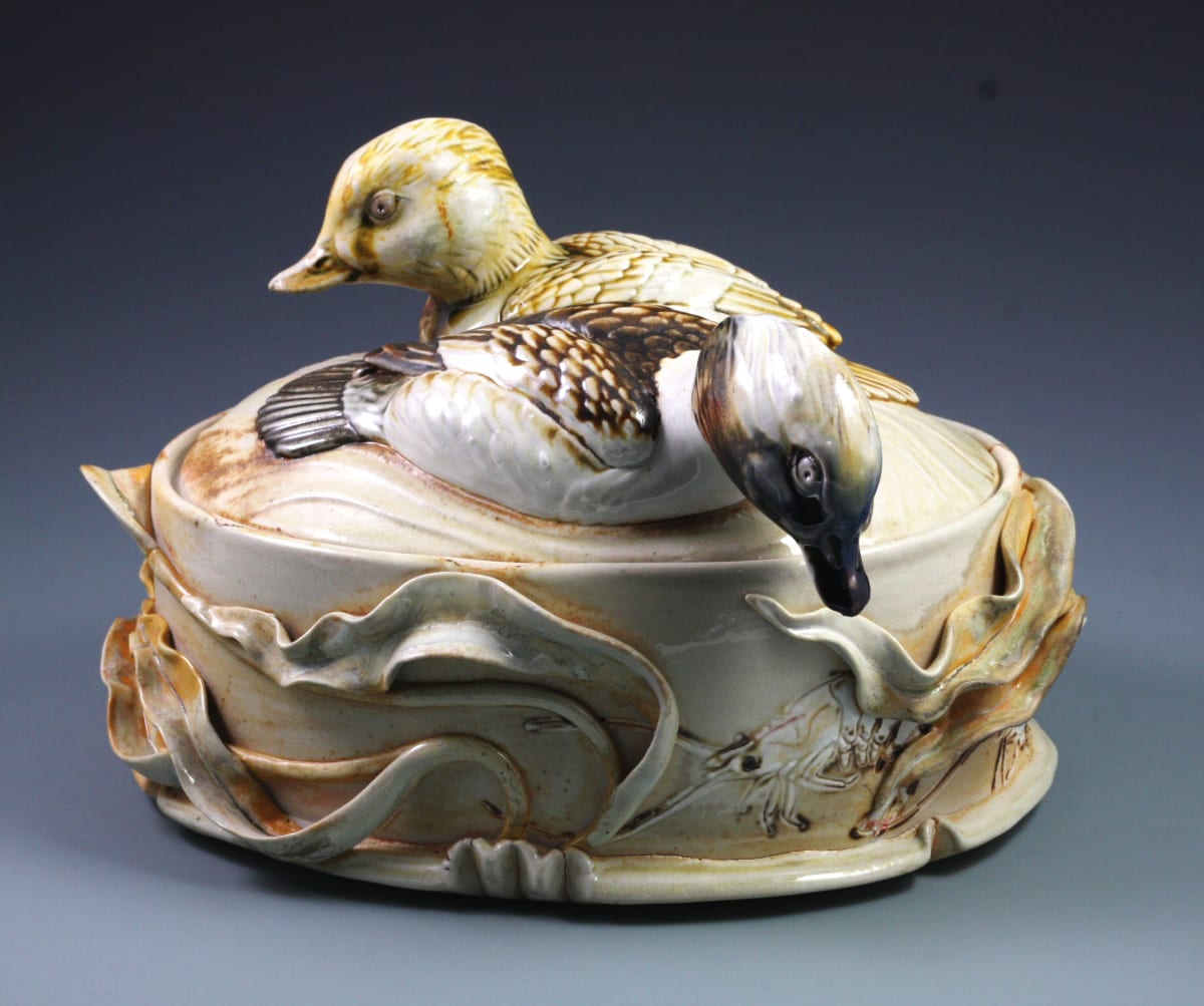 Bufflehead Ducks by Catherine Stasevich 