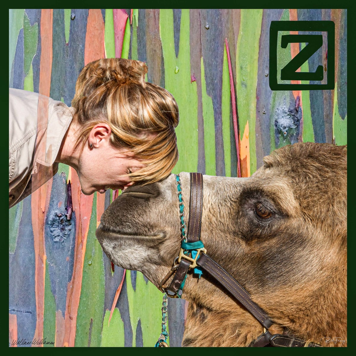 Z is for Zookeeper by Bill Franz 