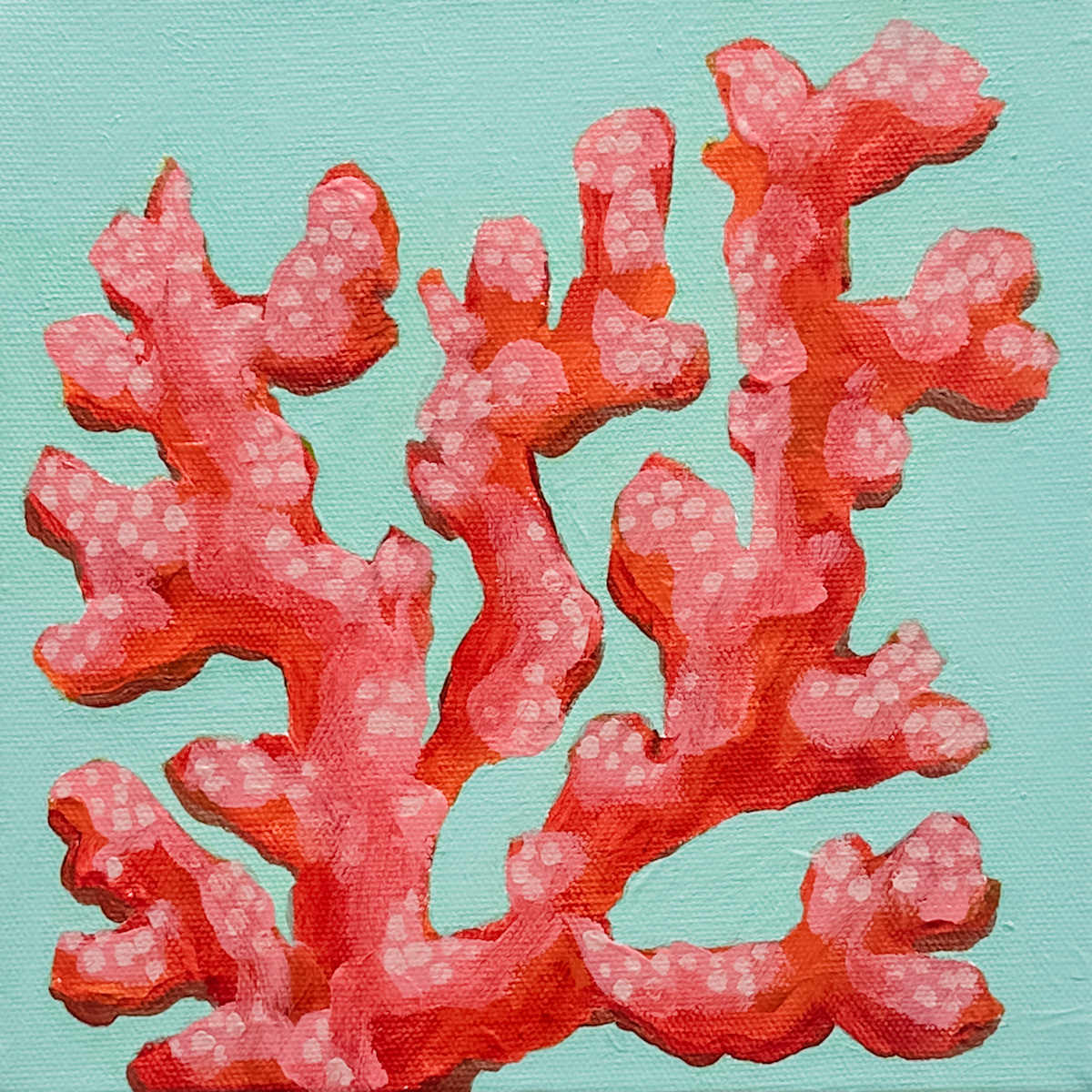 Red Coral No. 2 by Elizabeth Bernheisel 