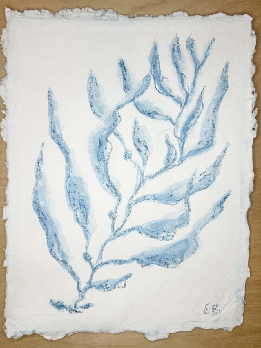 Blue Sea Kelp No. 2 by Elizabeth Bernheisel, Image 2.