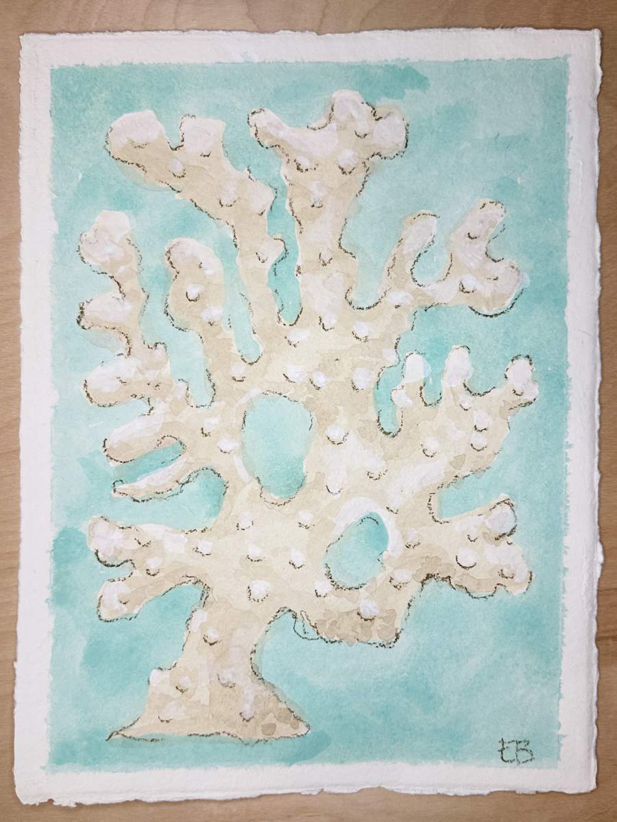 White Coral No. 2 by Elizabeth Bernheisel 