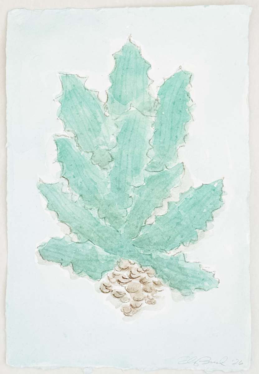 Agave No. 1 by Elizabeth Bernheisel, Image 1.
