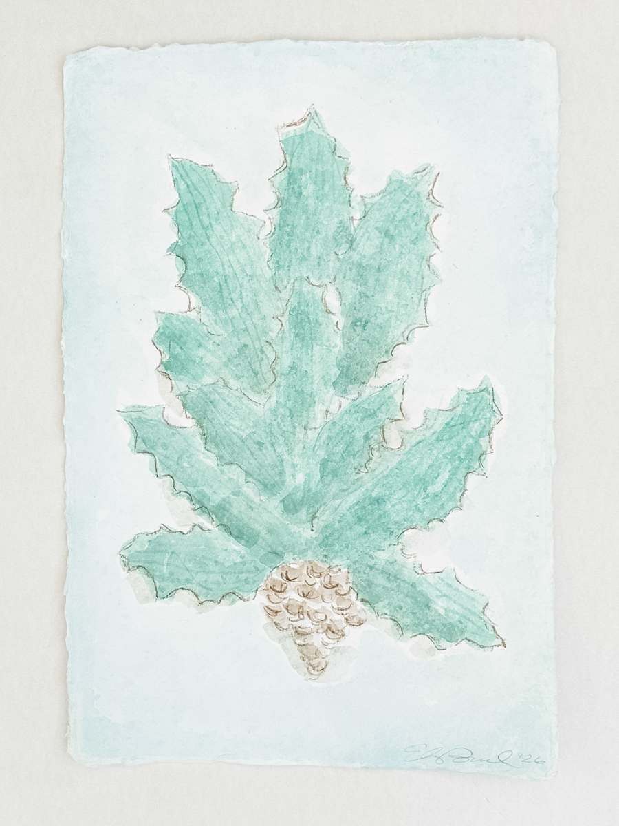 Agave No. 3 by Elizabeth Bernheisel, Image 1.