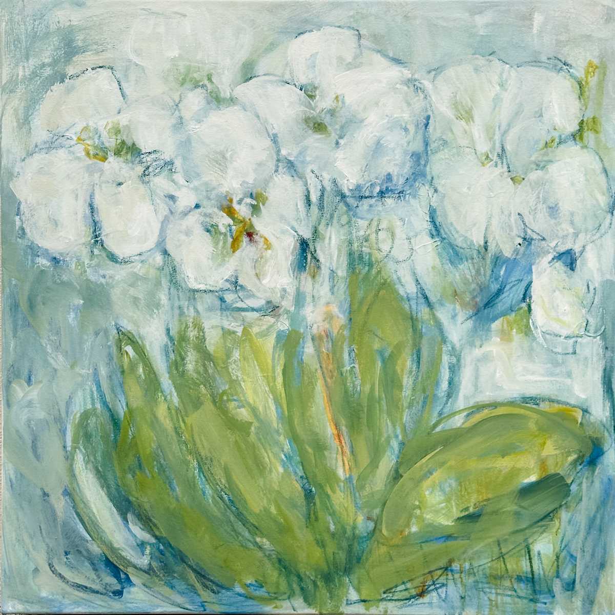 White Orchid Blooms by Elizabeth Bernheisel 