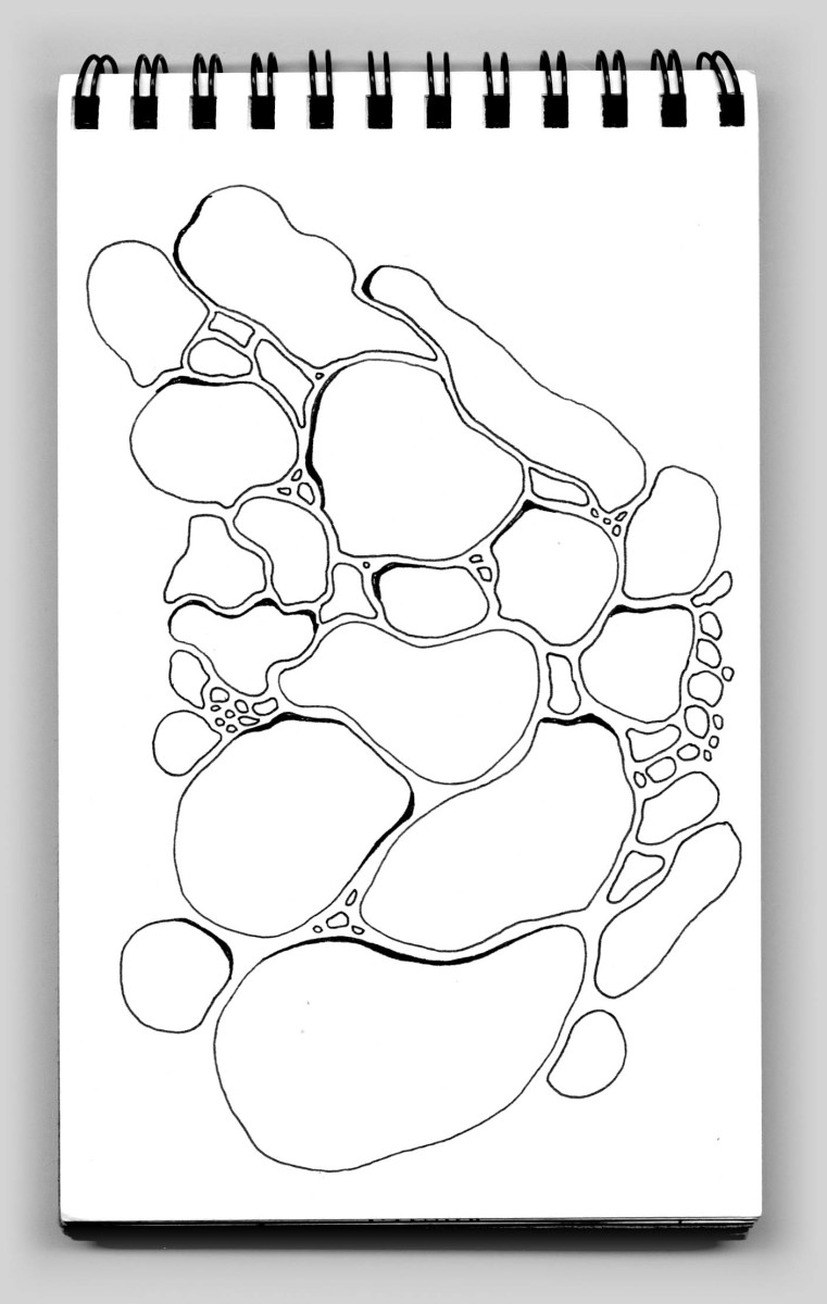 Bubbles (book 24, sketch 21) by Natale Adgnot 