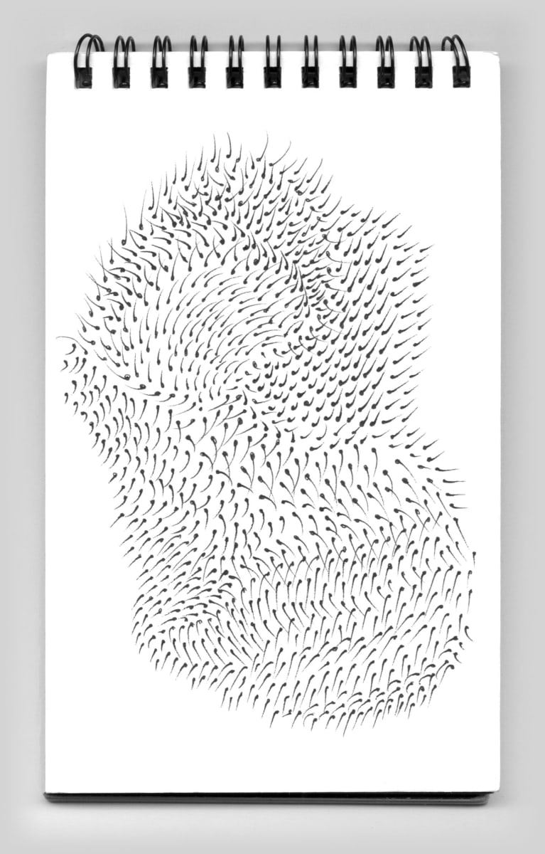 Untitled (book 31, sketch 19) 